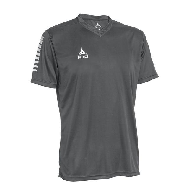 Select Playershirt Pisa - Grey, size XX-Large on Productcaster.