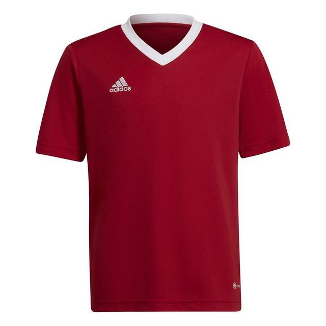 adidas Training T-shirt Entrada 22 - Red/white Kids, size 140 cm on Productcaster.