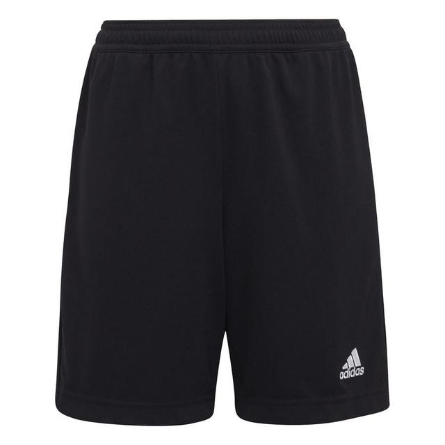 adidas Treningsshorts Entrada 22 - Sort Barn, størrelse 152 cm on Productcaster.