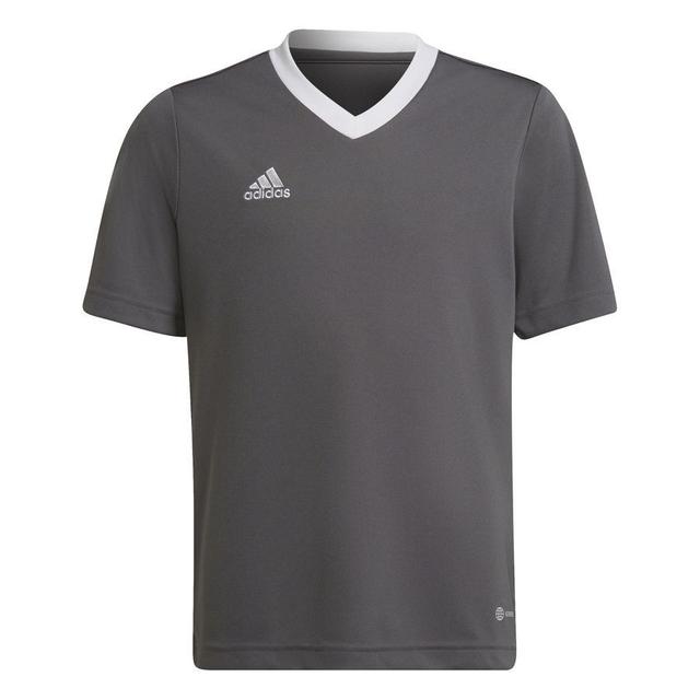 adidas Training T-shirt Entrada 22 - Grey/white Kids, size 152 cm on Productcaster.