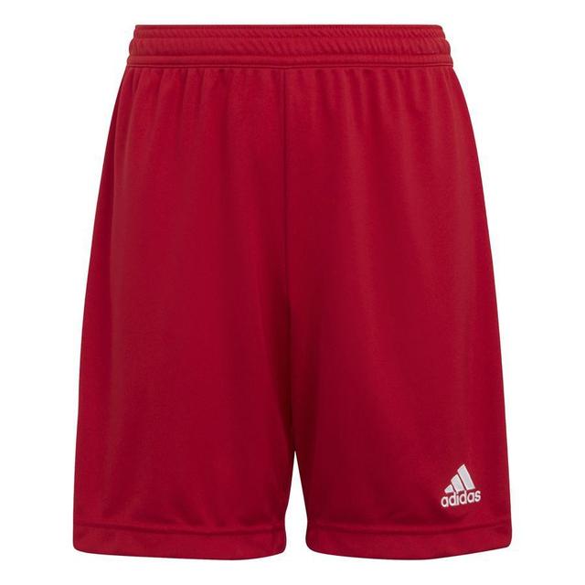 adidas Shorts Entrada 22 - Red Kids, size 164 cm on Productcaster.