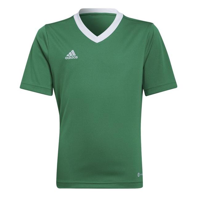 adidas Training T-shirt Entrada 22 - Team Green/white Kids, size 116 cm on Productcaster.