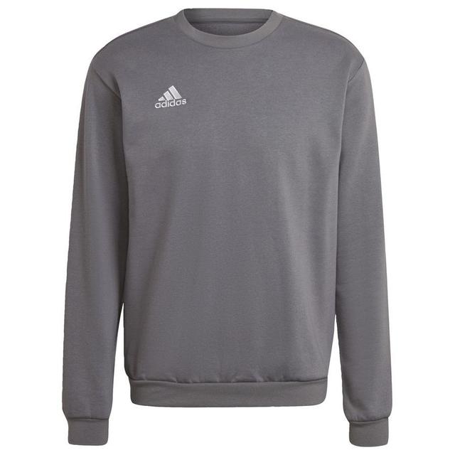 adidas Sweatshirt Entrada 22 - Grey, size X-Small on Productcaster.