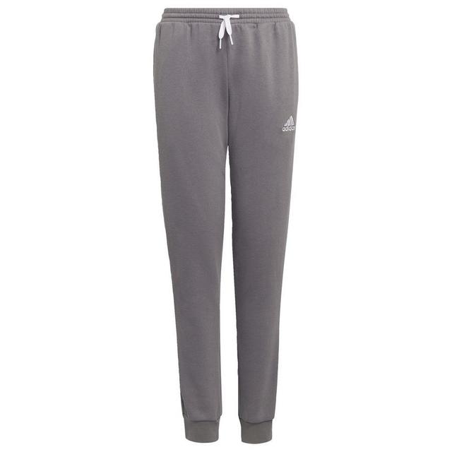 adidas Sweatpants Entrada 22 - Grey Kids, size 116 cm on Productcaster.