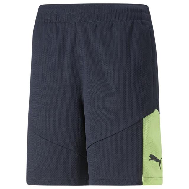 PUMA Træningsshorts IndividualFINAL - Blå/Grøn, størrelse Medium on Productcaster.