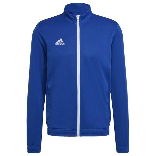 adidas Training Jacket Entrada 22 - Royal Blue, size XX-Large on Productcaster.