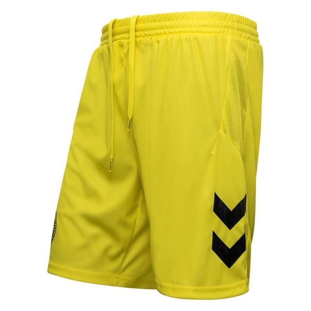 Danmark Målvaktsshorts 2023/24 - Hummel, storlek X-Large on Productcaster.