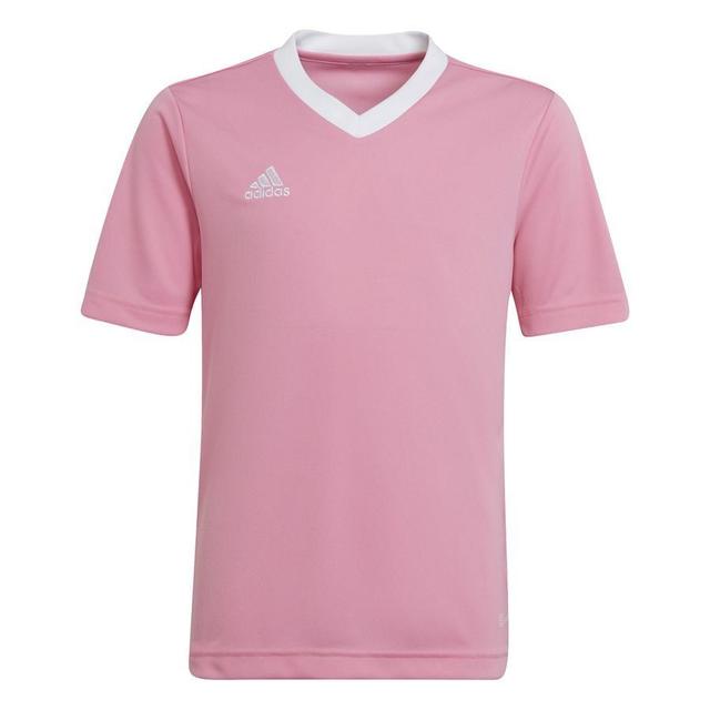 adidas Training T-shirt Entrada 22 - Pink/white Kids, size 152 cm on Productcaster.