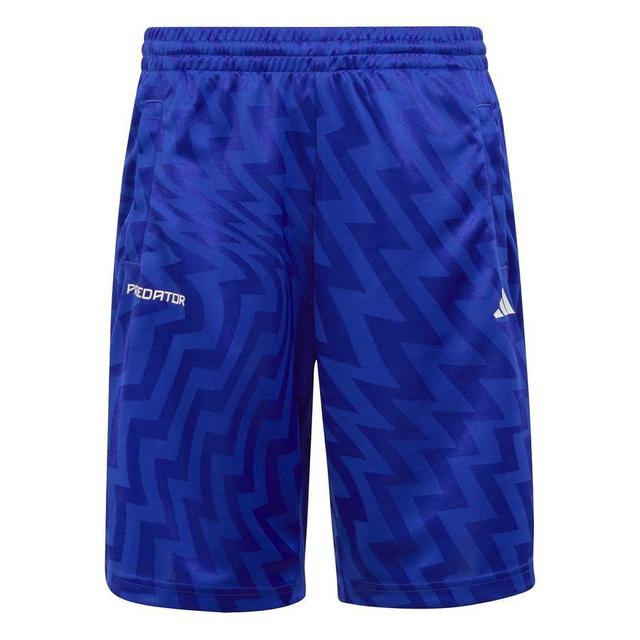 adidas Shorts Predator - Royal Blue/white Kids, size 164 cm on Productcaster.