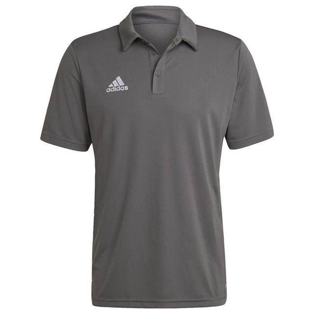 adidas Polo Entrada 22 - Grey, size Small on Productcaster.