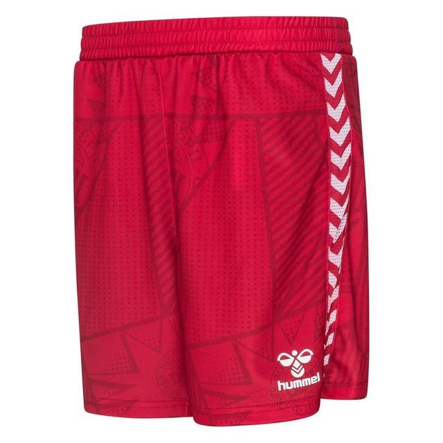 Denmark Home Shorts 2023/24 Woman - Hummel, size X-Large on Productcaster.