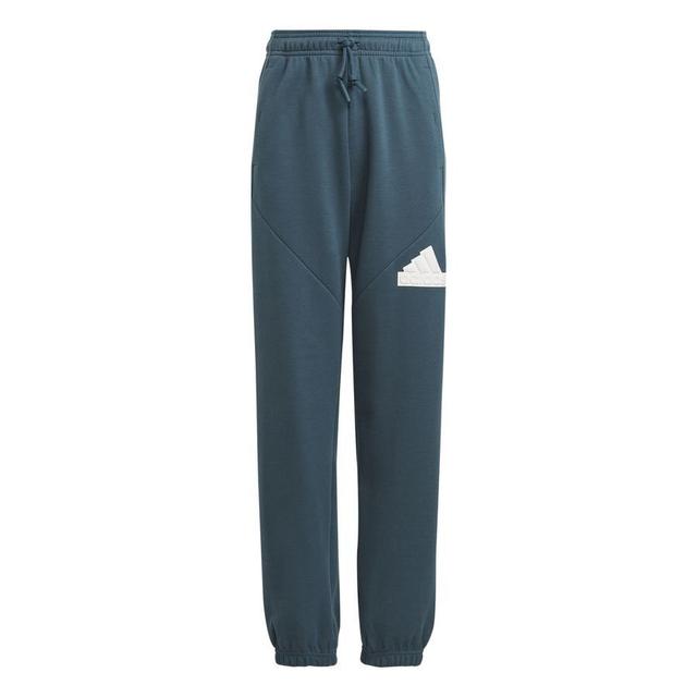 adidas Sweatpants Future Icons - Blue/white Kids, size 140 cm on Productcaster.