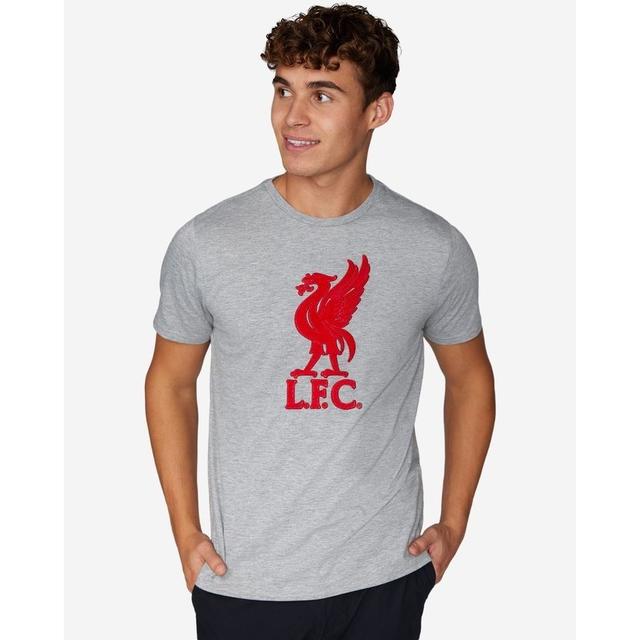 Liverpool T-shirt Liverbird - Grey - Liverpool Fc, size Medium on Productcaster.