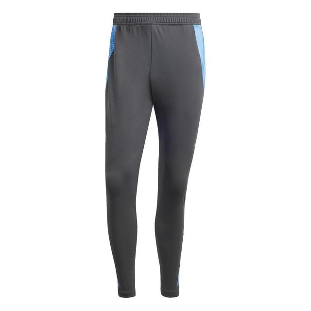 Argentina Track Pants Tiro 24 Copa America 2024 - Carbon - , size Large on Productcaster.