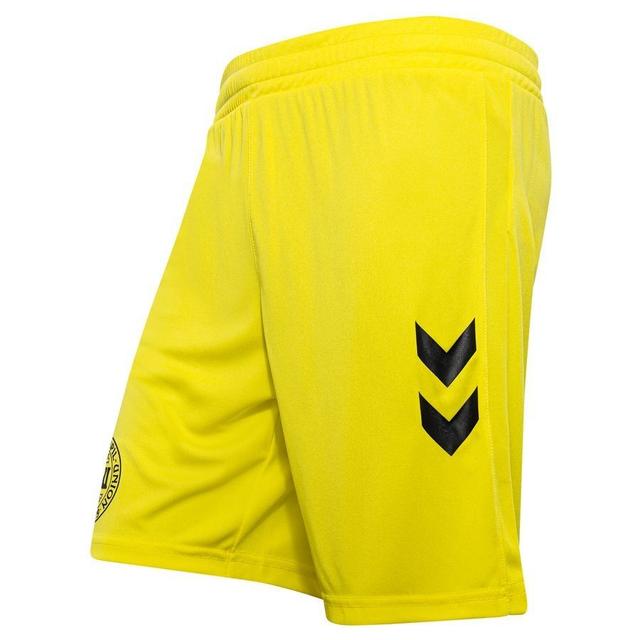 Denmark Goalkeeper Shorts 2024/25 - Hummel, size X-Small on Productcaster.