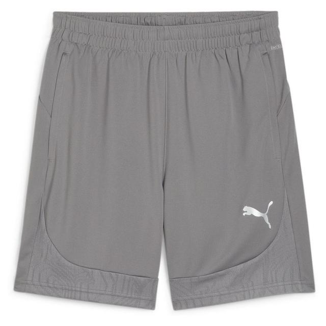 Teamfinal Training Shorts Cast Iron-PUMA Silver, size ['X-Large'] on Productcaster.