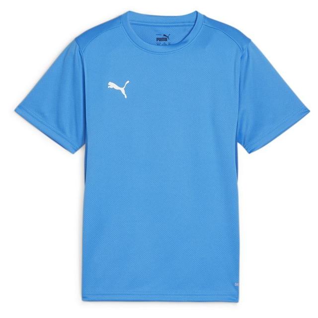 Teamgoal Jersey Jr Electric Blue Lemonade-PUMA White-PUMA Team Royal, size ['L/164 cm'] on Productcaster.