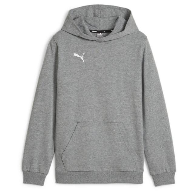 PUMA Hoodie Teamgoal Casuals - Grey Kids, size YXL/164 cm on Productcaster.