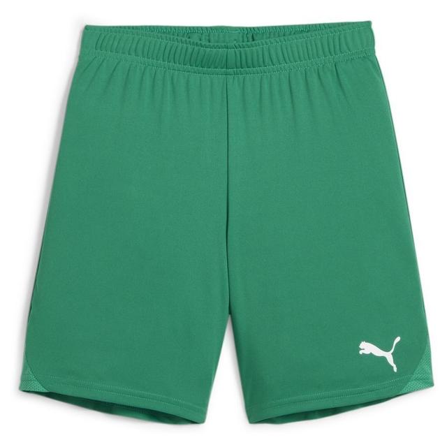 Teamgoal Shorts Jr Sport Green-PUMA White, størrelse L/164 cm on Productcaster.