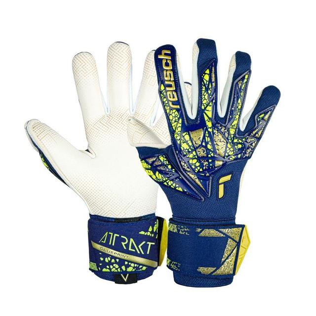 Reusch Keeperhanske Attrakt Gold X GluePrint - Blå/Gull, størrelse ['8'] on Productcaster.