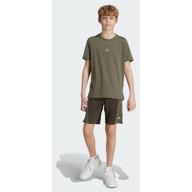 adidas Training Aeroready Heather Shorts Kids, størrelse 176 cm on Productcaster.