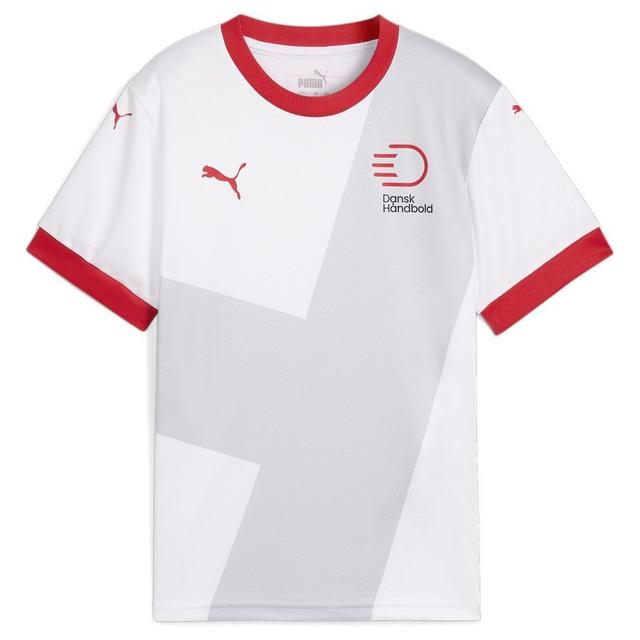 Dhf Away Jersey Jr PUMA White-cool Light Gray, koko YXXL/176 cm on Productcaster.