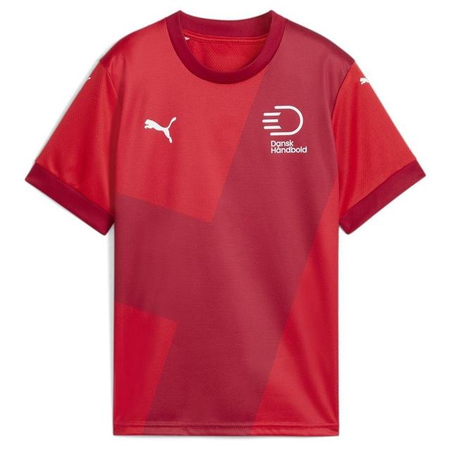 Dhf Home Jersey Jr PUMA Red-dark Cherry, size YXXL/176 cm on Productcaster.