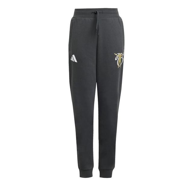 adidas Sweatpants Jude Bellingham Belligold - Dk Grey Kids, size 152 cm on Productcaster.