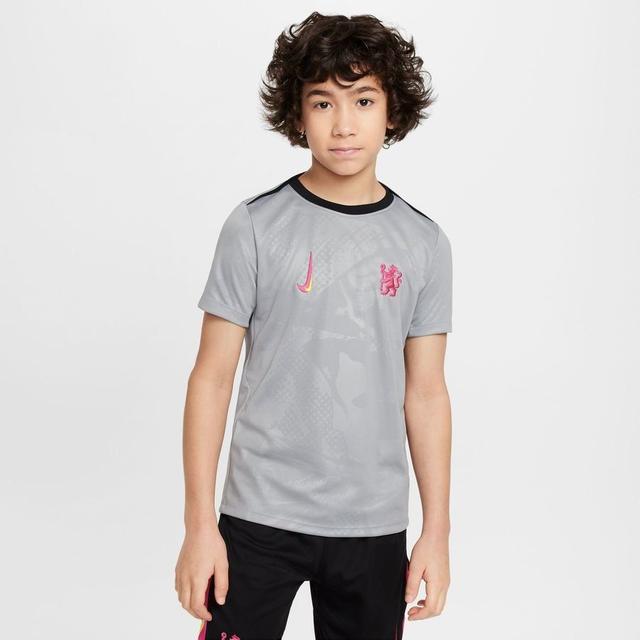 Chelsea Training T-shirt Dri-fit Academy Pro Pre Match 3rd - Particle Grey/black/pink Prime Kids - Nike, size S: 128-137 cm on Productcaster.