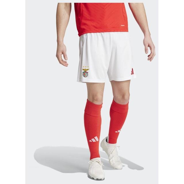 adidas Benfica 24/25 Thuisshort, maat Large on Productcaster.