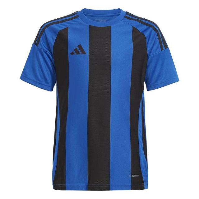 adidas Playershirt Striped 24 - Royal Blue/black Kids, size 152 cm on Productcaster.