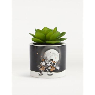 George Home Mickey & Minnie Mouse Winter Artificial Succulent on Productcaster.