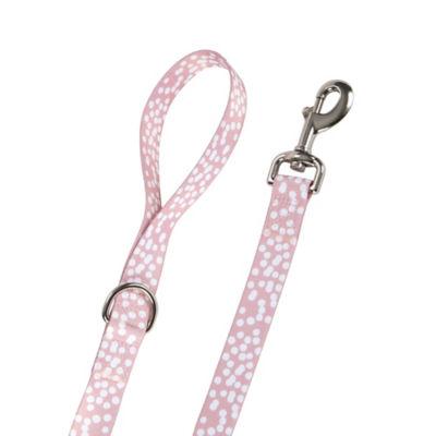 George Home Dog Lead on Productcaster.