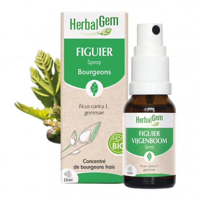 Fico spray 15ml Bourgeons Bio Herbalgem - Easypara on Productcaster.