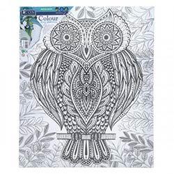 Icon Colour My Canvas Owl 250X300mm - Fun For All Ages on Productcaster.