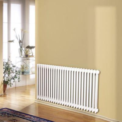 Warmhaus Celine 2 Column Radiator on Productcaster.