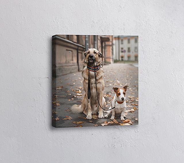 Square Canvas Prints on Productcaster.