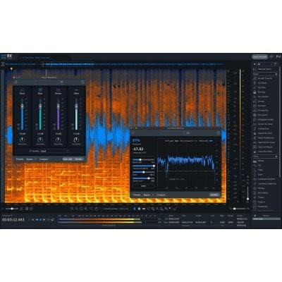 Izotope Rx 11 Standard Crossgrade • Mises à Jour Logiciels on Productcaster.