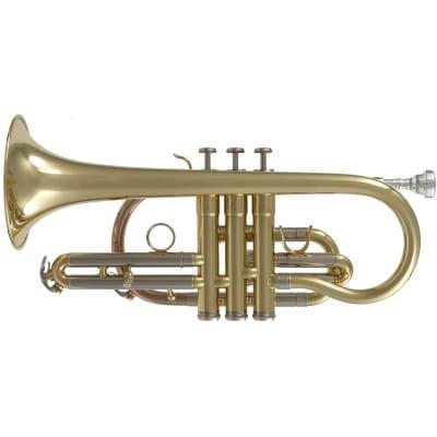 Woodbrass Wcr200 - Sib Verni • Cornets Sib on Productcaster.