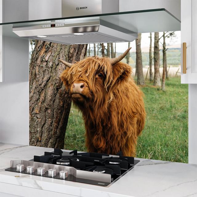 Simply Glass - Highland Cow - 800mmw-x-700mmh on Productcaster.